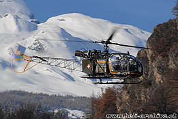 Gennaio 2009 - L'SE 3130 Alouette 2 HB-XQT in servizio con la Air Vampires SA (N. Däpp)