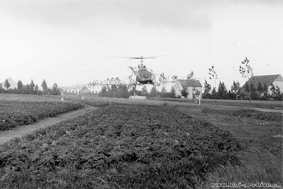 Olanda, estate 1955 - Max Kramer ai comandi dell'Hiller UH-12B HB-XAH provvisto di impianto spray (archivio M. Kramer)