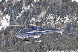 World Economic Forum Davos, gennaio 2010 - L'AS 355F2 Ecureuil HB-ZIV in servizio con la Eliticino (K. Albisser)