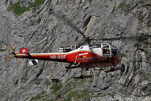 Lauterbrunner/BE, giugno 2014 - L'SE 3160 Alouette 3 HB-XOF in servizio con la Air Glaciers (M. Bazzani)
