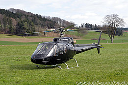 Beromünster/LU, marzo 2011 - L'AS 350B Ecureuil HB-ZFA in servizio con la Airport Helicopter (K. Albisser)