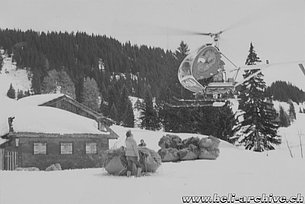 Swiss Alps, early 1970s - The Hughes 269C HB-XDU in service with Linth Helikopter is used to airlift a net of hay (family Kolesnik)